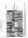 Fig. 18 - siRNA targeting connective tissue growth factor (CTGF)