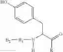 Fig. 03 - Stabilized liquid enzyme compositions