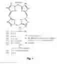 Fig. 02 - Targeted antimicrobial moieties