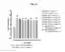 Fig. 06 - METHODS FOR PREVENTING OR TREATING METABOLIC SYNDROME