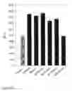Fig. 60 - THYROID STIMULATING HORMONE FUSION PROTEINS