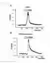 Fig. 07 - COMPOSITION FOR TREATMENT OF ERECTILE DYSFUNCTION