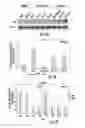 Fig. 06 - COMPOSITIONS, METHODS AND KITS FOR DETECTING AND TREATING CANCER