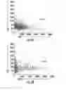 Fig. 08 - COMPOSITIONS, METHODS AND KITS FOR DETECTING AND TREATING CANCER