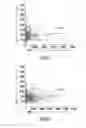 Fig. 09 - COMPOSITIONS, METHODS AND KITS FOR DETECTING AND TREATING CANCER