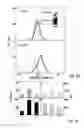 Fig. 07 - ACETYLCHOLINESTERASE (ACHE)-DERIVED PEPTIDE AS AN INDUCER OF GRANULOCYTOPOIESIS, USES AND METHODS THEREOF