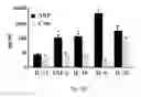 Fig. 16 - ACETYLCHOLINESTERASE (ACHE)-DERIVED PEPTIDE AS AN INDUCER OF GRANULOCYTOPOIESIS, USES AND METHODS THEREOF