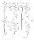 Fig. 03 - Selective Targeting Agents for Mitochondria