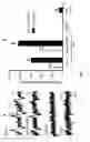 Fig. 04 - Selective Targeting Agents for Mitochondria