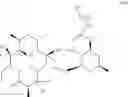 Fig. 07 - 2'-O,3'-N-BRIDGED MACROLIDES