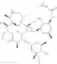 Fig. 22 - 2'-O,3'-N-BRIDGED MACROLIDES