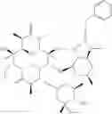 Fig. 32 - 2'-O,3'-N-BRIDGED MACROLIDES