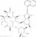 Fig. 33 - 2'-O,3'-N-BRIDGED MACROLIDES
