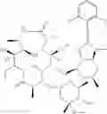Fig. 40 - 2'-O,3'-N-BRIDGED MACROLIDES