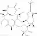 Fig. 41 - 2'-O,3'-N-BRIDGED MACROLIDES