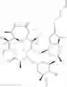 Fig. 44 - 2'-O,3'-N-BRIDGED MACROLIDES