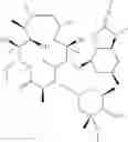 Fig. 64 - 2'-O,3'-N-BRIDGED MACROLIDES