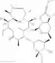Fig. 65 - 2'-O,3'-N-BRIDGED MACROLIDES