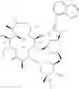 Fig. 69 - 2'-O,3'-N-BRIDGED MACROLIDES