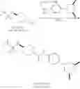 Fig. 44 - NPY Y5 ANTAGONIST