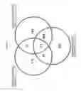 Fig. 02 - USE OF 25-HYDROXY-VITAMIN D3 TO AFFECT HUMAN MUSCLE PHYSIOLOGY