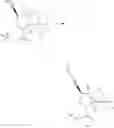 Fig. 20 - Protease inhibitors