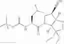 Fig. 42 - Protease inhibitors