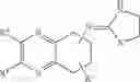 Fig. 22 - Therapeutic compounds