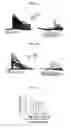 Fig. 08 - COMPOSITION FOR INHIBITING THE ACTIVITY OF INOSITOL 1,4,5-TRIPHOSPHATE RECEPTOR SUBTYPE III