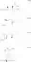 Fig. 40 - Gabapentin for the Treatment of Overactive Bladder, Stress Incontinence and BPH