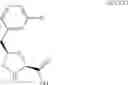Fig. 45 - Gabapentin for the Treatment of Overactive Bladder, Stress Incontinence and BPH