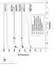 Fig. 08 - Plasticised polyvinyl chloride