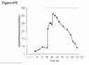 Fig. 136 - Polymerization of isoprene from renewable resources