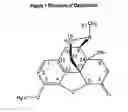 Fig. 02 - MONO AND DI-SUBSTITUTED OXYCODONE COMPOUNDS AND COMPOSITIONS