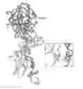 Fig. 01 - Covalent Factor VII-Tissue Factor Complex