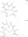 Fig. 07 - PEPTIDE TURN MIMETICS