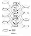 Fig. 20 - Organic semiconductor compound, semiconductor element, solar battery, and process for producing organic semiconductor compound