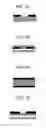 Fig. 05 - [1]benzothieno[3,2-B][1]benzothiophene compound and method for producing the same, and organic electronic device using the same