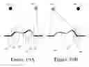 Fig. 22 - METHOD AND A SYSTEM FOR IMAGING AND ANALYSIS FOR MOLE EVOLUTION TRACKING