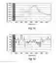Fig. 04 - Fitness test