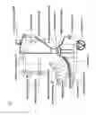 Fig. 02 - Calf enhancer for the lower extremity
