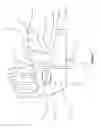 Fig. 08 - Flexible and adjustable wrap for protecting and stabilizing intravenous catheter