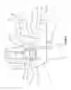 Fig. 09 - Flexible and adjustable wrap for protecting and stabilizing intravenous catheter