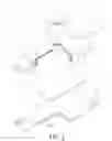 Fig. 02 - Pressure bandage