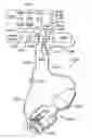 Fig. 01 - Systems, apparatus, methods and procedures for the noninvasive treatment of tissue using microwave energy