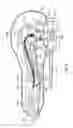 Fig. 06 - Systems, apparatus, methods and procedures for the noninvasive treatment of tissue using microwave energy