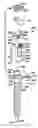 Fig. 01 - Polyaxial bone anchor having an open retainer with conical, cylindrical or curvate capture