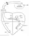 Fig. 01 - Integrated lead for applying cardiac resynchronization therapy and neural stimulation therapy