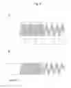 Fig. 03 - COILED LIGHT DIFFUSER FOR IRRADIATION OF BIOLOGICAL TISSUE WITH LIGHT BEAM AND LIGHT-DIFFUSING DEVICE COMPRISING THE SAME