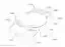 Fig. 01 - Intraocular lens system